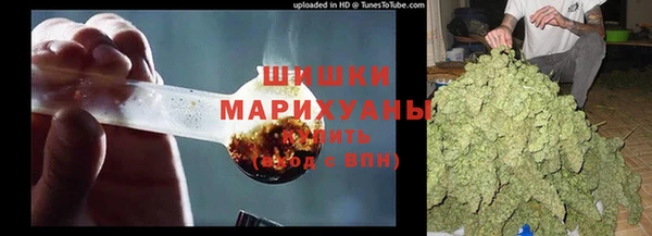 ешки Алзамай
