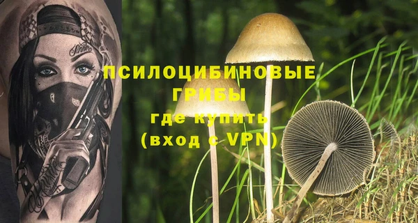 ешки Алзамай