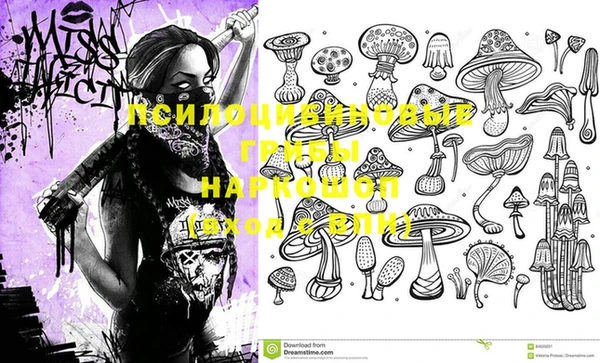 ешки Алзамай