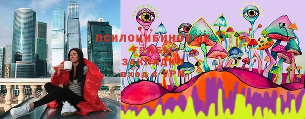 ешки Алзамай