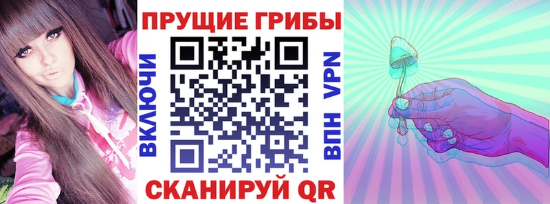 Псилоцибиновые грибы мицелий Евпатория